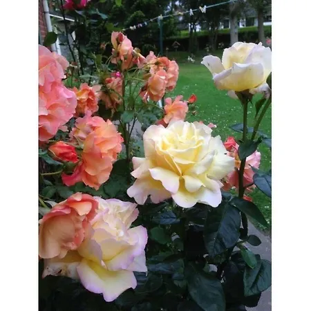 Apartment Romantic Near Seabeach Busum