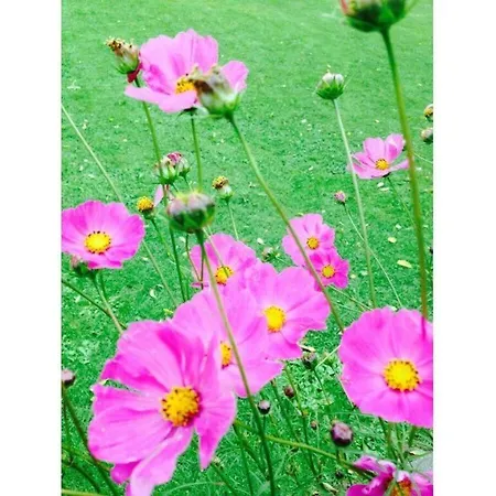 Romantic Near Seabeach